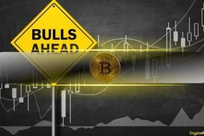 $9.3B ERC-20 Stablecoin Inflow to Exchanges Following Elections: Another Rally Coming?