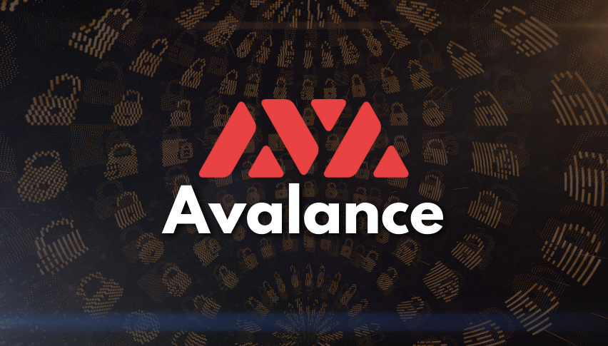 Buy Avalanche Gear Online - Essential Safety Equipment