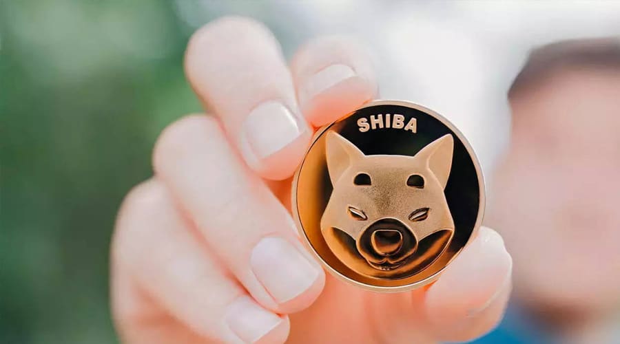 Buy Shiba Inu Guide